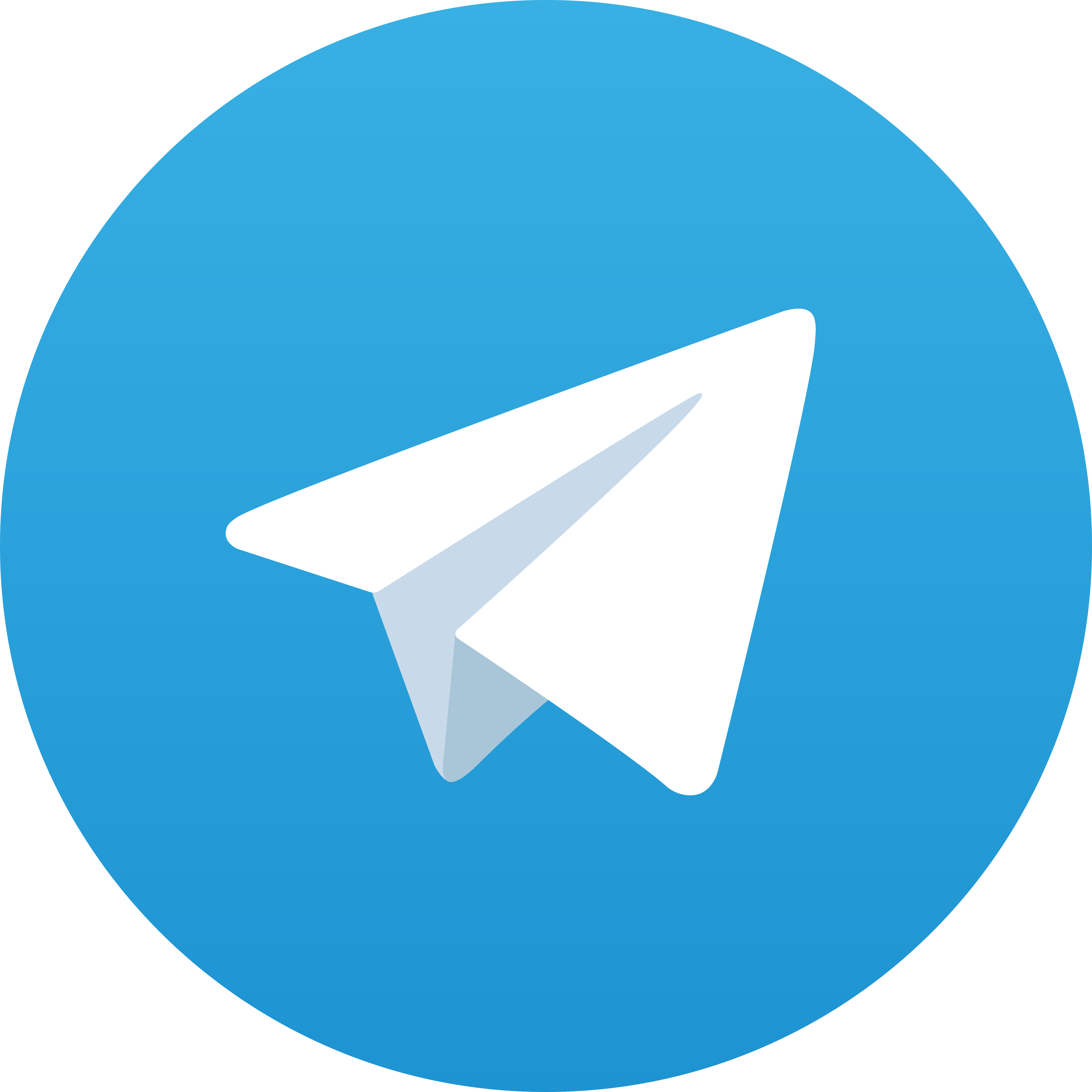 Telegram Venturatoto